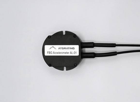 fiber optic accelerometer 2